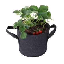 New arrival black felt grow bag 2 gallon strawberry plant grow bags planting bag for planting vegetables